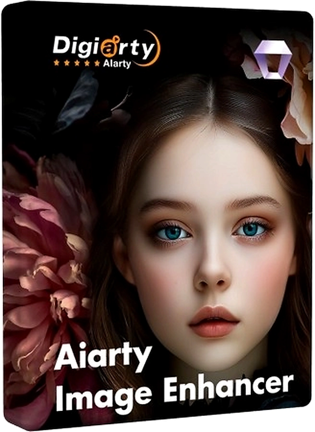 Aiarty Image Enhancer 3.11