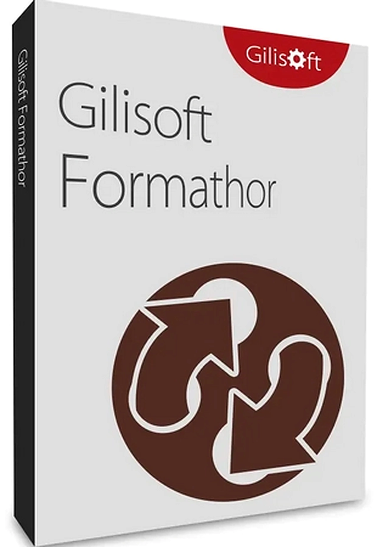 GiliSoft Formathor 8.5.0