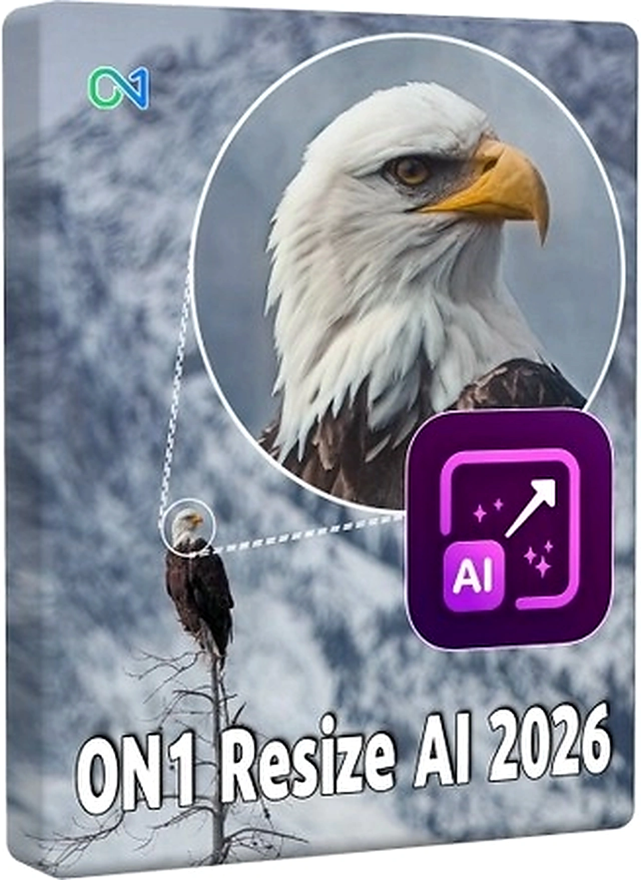 Увеличение фото ON1 Resize AI 2026.4 20.4.1.18862